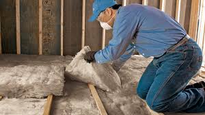 Best Eco-Friendly or Green Insulation Solutions  in Bossier City, LA