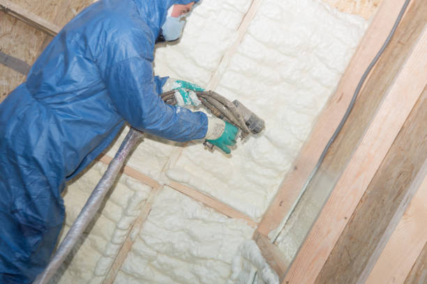 Best Wall Insulation Installation  in Bossier City, LA