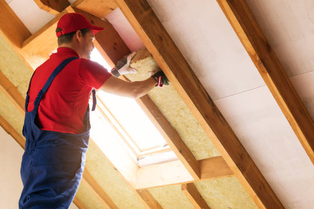 Best Blown-In Insulation  in Bossier City, LA